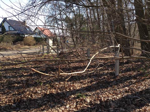 Wohngebiet am Skulpturengarten